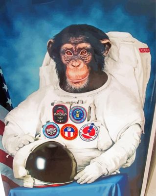 Aesthetic Space Astronaut Chimp Paint By Numbers