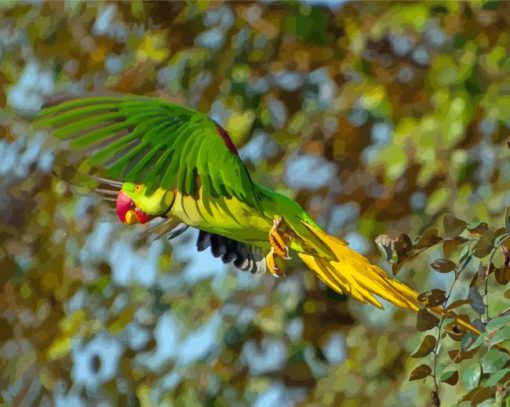 Alexandrine Parakeet Bird Flying Paint By Numbers