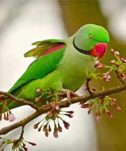 Alexandrine Parakeet On A Flowering Branch Paint By Numbers