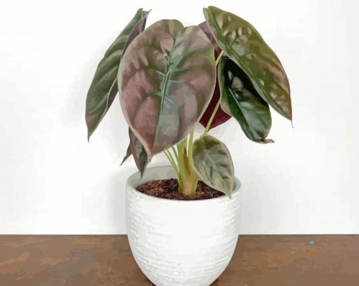 Alocasia In White Pot Paint By Numbers