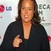 American Comedian Rosie Odonnell Paint By Numbers