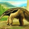 Anteater Animal Paint By Numbers