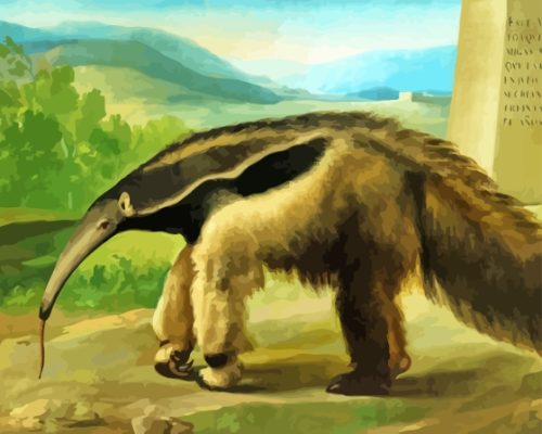 Anteater Animal Paint By Numbers