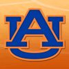 Auburn University Logo Paint By Numbers