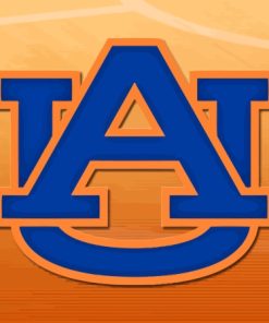 Auburn University Logo Paint By Numbers