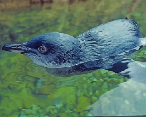 Australian Fairy Penguin In Water Paint By Numbers