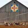 Barn With Quilt Paint By Numbers