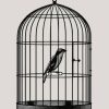 Black And White Caged Bird Paint By Numbers