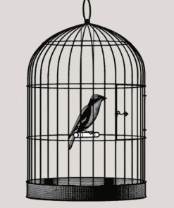 Black And White Caged Bird Paint By Numbers