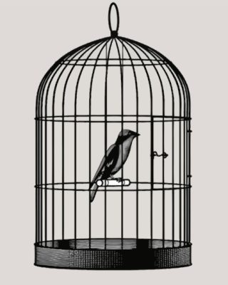 Black And White Caged Bird Paint By Numbers