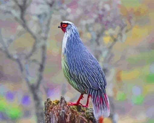 Blood Pheasant Bird Paint By Numbers