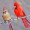 Cardinals Couple On Stick Paint By Numbers