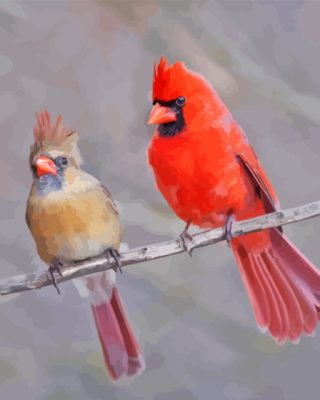 Cardinals Couple On Stick Paint By Numbers