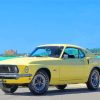 Classic 1969 Ford Mustang Fastback Paint By Numbers