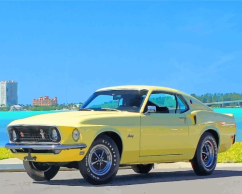 Classic 1969 Ford Mustang Fastback Paint By Numbers