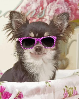 Chihuahua With Glasses Paint By Numbers