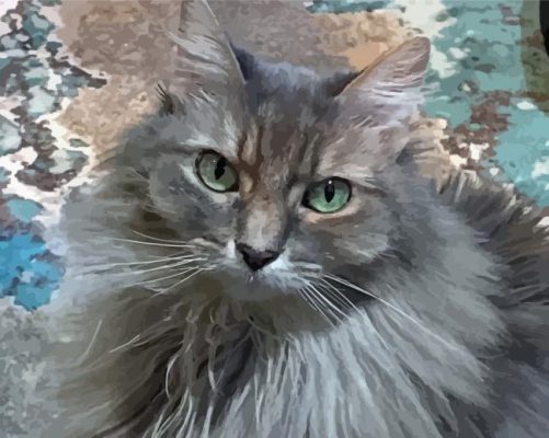 Cute Long Hair Grey Cat Paint By Numbers