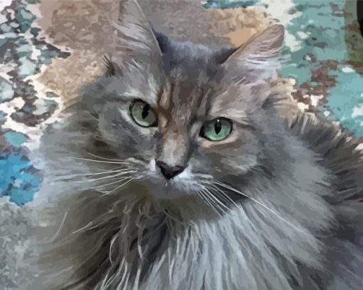 Cute Long Hair Grey Cat Paint By Numbers