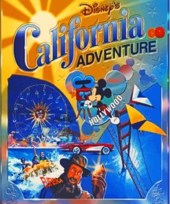 Disney California Adventure Paint By Numbers