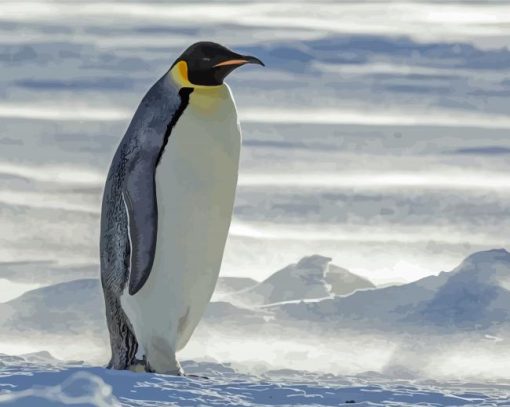 Emperor Penguin Animal Paint By Numbers