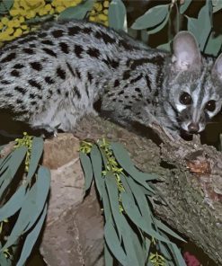 Genet On Tree Branch Paint By Numbers