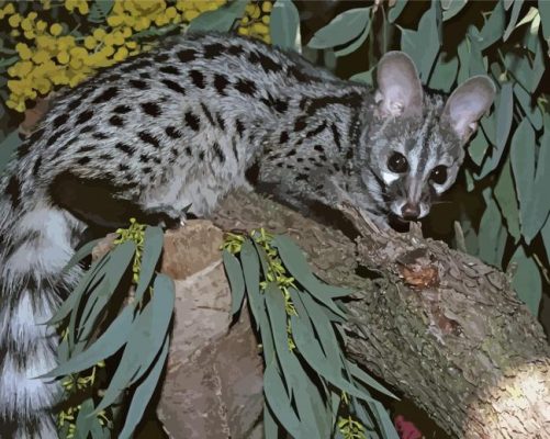 Genet On Tree Branch Paint By Numbers