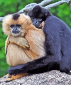 Gibbons Couple Paint By Numbers