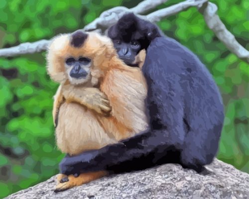 Gibbons Couple Paint By Numbers