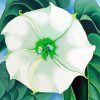 Green White Flower Paint By Numbers