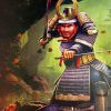 Japanese Swordsman Warrior Paint By Numbers