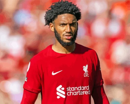 Joe Gomez Paint By Numbers