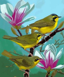 Kentucky Warbler Birds Paint By Numbers