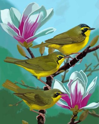 Kentucky Warbler Birds Paint By Numbers