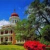 Mississippi Natchez Longwood Paint By Numbers