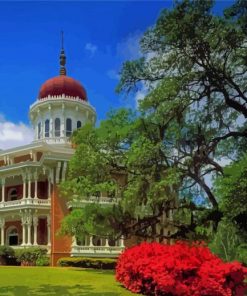 Mississippi Natchez Longwood Paint By Numbers