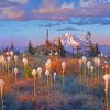 Mountain Beargrass Meadow Paint By Numbers