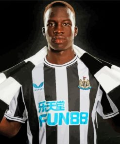 Newcastle United Footballer Garang Kuol Paint By Numbers