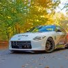 Nissan Z Car Paint By Numbers