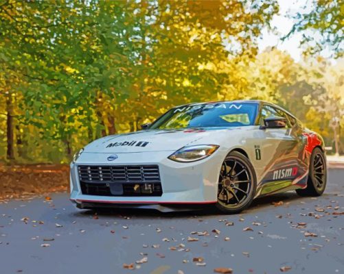 Nissan Z Car Paint By Numbers