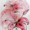 Pink Abstract Lily Paint By Numbers