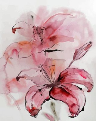 Pink Abstract Lily Paint By Numbers