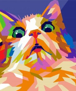 Pop Art Frightened Cat Paint By Numbers