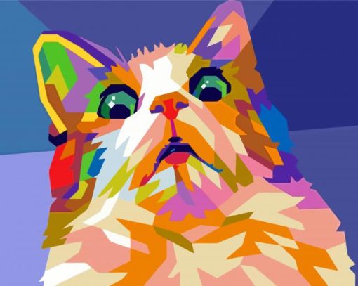 Pop Art Frightened Cat Paint By Numbers