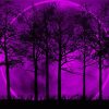 Purple Moon And Trees Silhouette Paint By Numbers