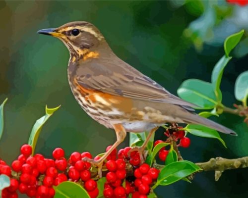 Redwing Bird Paint By Numbers