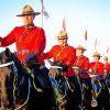 Royal Canadian Mounted Police Ride Show Paint By Numbers