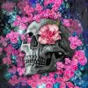 Skull And Pink Flower Eye Paint By Numbers