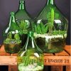 Succulents In Bottles Paint By Numbers