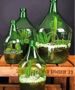 Succulents In Bottles Paint By Numbers