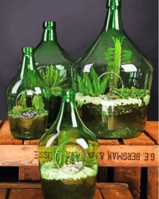 Succulents In Bottles Paint By Numbers